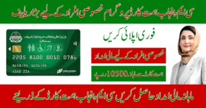 CM Punjab Himmat Card Program