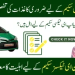 Punjab Green E-Taxi Scheme Requirements