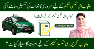 Punjab Green E-Taxi Scheme Requirements