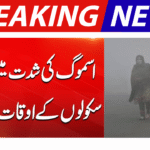 Punjab Schools New Timings Announced Due to Smog